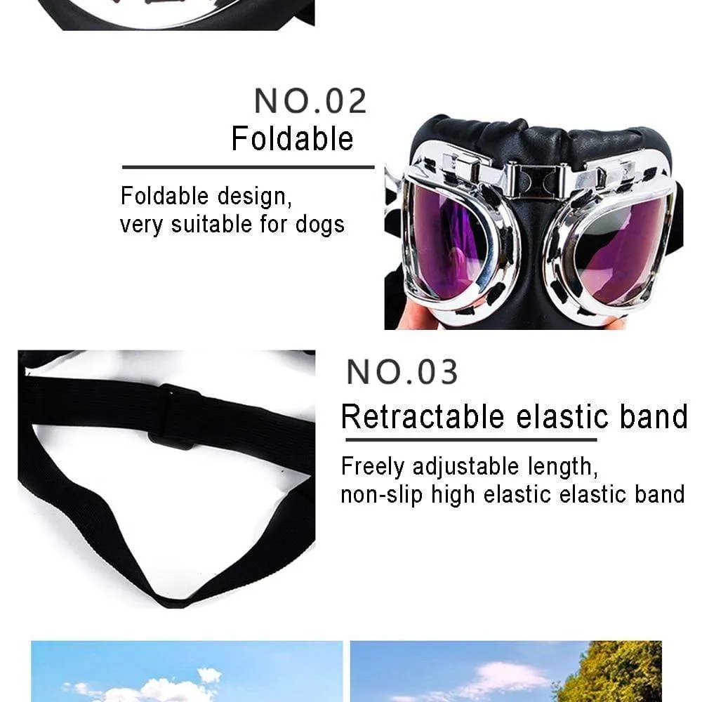 CSG Dog Sunglasses