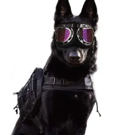 CSG Dog Sunglasses