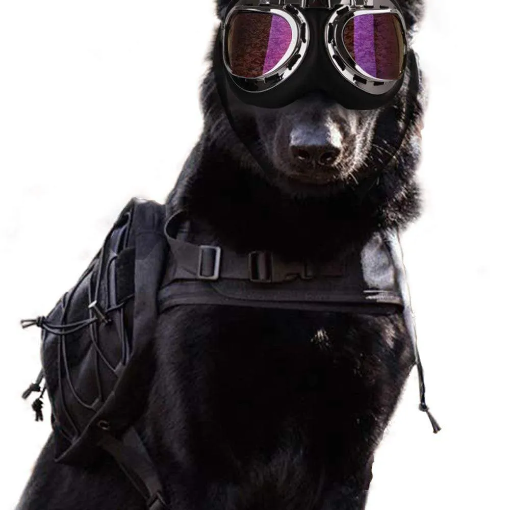 CSG Dog Sunglasses
